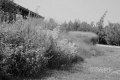 Velikost fotografie: 91 kB